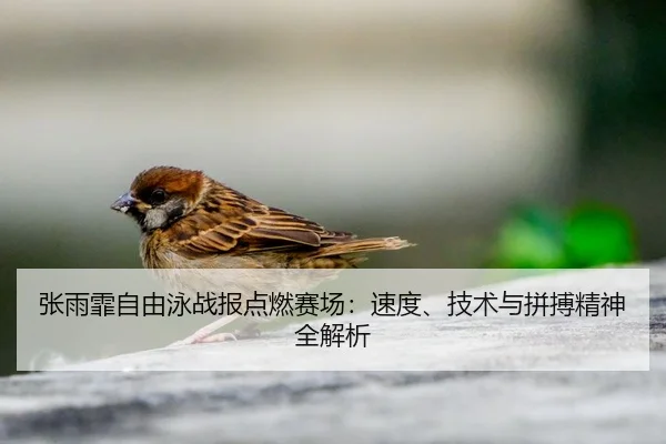 张雨霏自由泳战报点燃赛场：速度、技术与拼搏精神全解析
